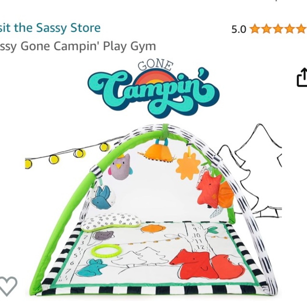 Sassy gone campin play set